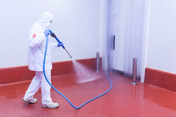 Best Soft Washing  in Deans, NJ